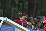 Canis donderdag