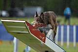 Canis donderdag