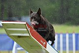 Canis donderdag