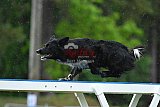 Canis donderdag