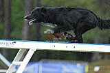 Canis donderdag