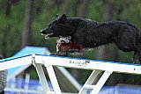 Canis donderdag