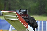 Canis donderdag