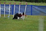 Canis donderdag