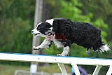 Canis donderdag
