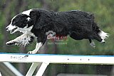 Canis donderdag