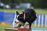 Canis donderdag