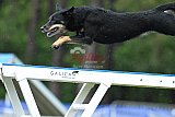 Canis donderdag