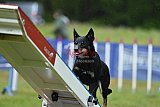 Canis donderdag