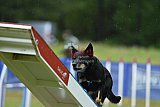 Canis donderdag