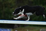 Canis donderdag