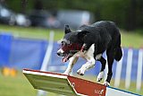 Canis donderdag