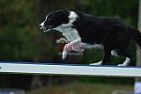 Canis donderdag