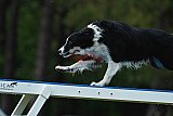 Canis donderdag