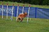 Canis donderdag