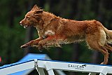 Canis donderdag