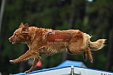 Canis donderdag