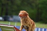 Canis donderdag