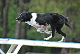 Canis donderdag