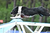 Canis donderdag