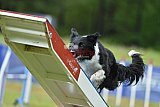 Canis donderdag