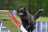 Canis donderdag