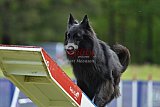 Canis donderdag
