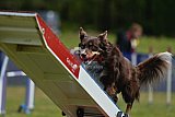 Canis donderdag