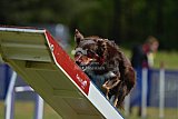 Canis donderdag