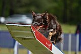 Canis donderdag