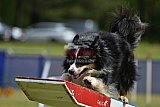 Canis donderdag