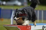 Canis donderdag
