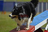 Canis donderdag
