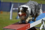 Canis donderdag