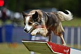 Canis donderdag
