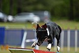 Canis donderdag