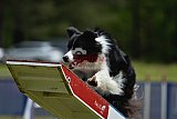 Canis donderdag