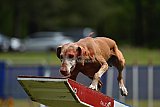 Canis donderdag