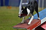 Canis donderdag