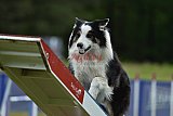 Canis donderdag