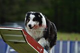Canis donderdag