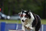 Canis donderdag