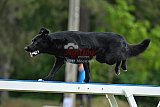 Canis donderdag