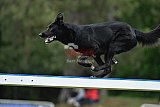 Canis donderdag