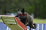 Canis donderdag