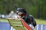 Canis donderdag