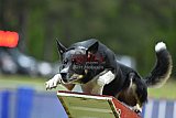 Canis donderdag