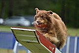 Canis donderdag