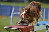 Canis donderdag