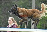 Canis donderdag